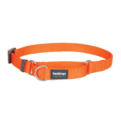 Red Dingo Red Dingo Martingale Half Check Orange Dog Collar (4 Sizes) Dog Accessories