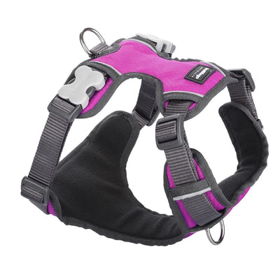 Red Dingo Red Dingo Padded Hot Pink Dog Harness (5 Sizes) Dog Accessories