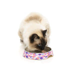 Fuzzyard [15% OFF] Fuzzyard Atlantica Cat Bowl Cat Accessories