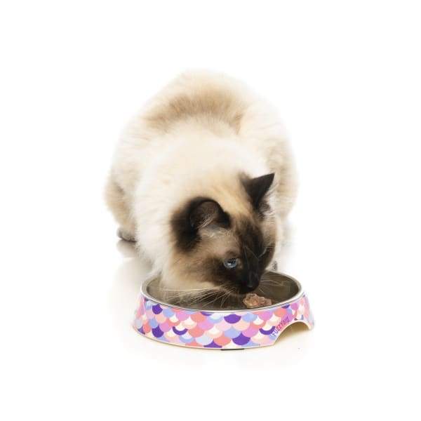 Fuzzyard [15% OFF] Fuzzyard Atlantica Cat Bowl Cat Accessories