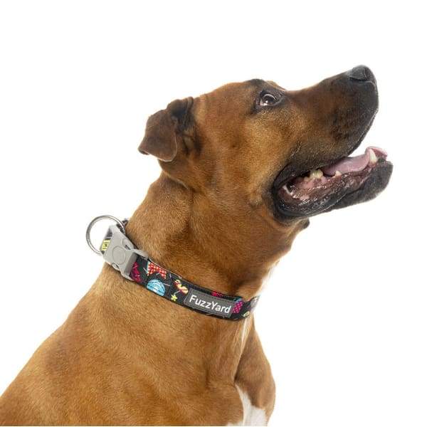 Fuzzyard [15% OFF] Fuzzyard Bel Air Dog Collar (3 Sizes) General