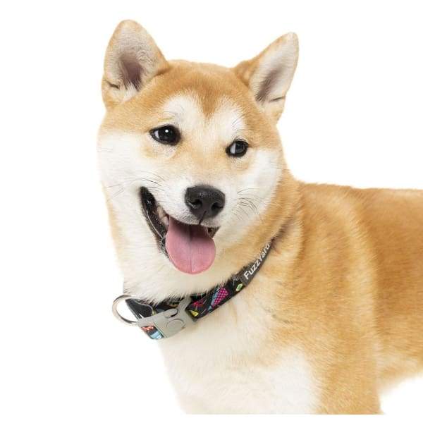 Fuzzyard [15% OFF] Fuzzyard Bel Air Dog Collar (3 Sizes) General