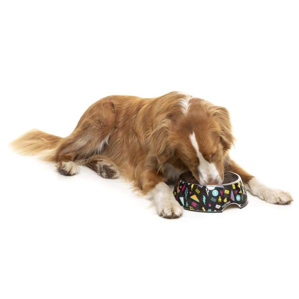 Fuzzyard [15% OFF] Fuzzyard Bel Air Easy Feeder Dog Bowl (3 Sizes) Dog Accessories