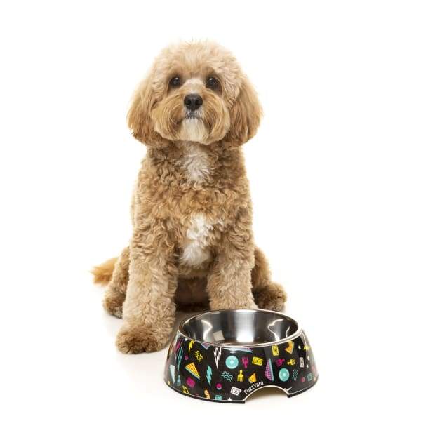 Fuzzyard [15% OFF] Fuzzyard Bel Air Easy Feeder Dog Bowl (3 Sizes) Dog Accessories