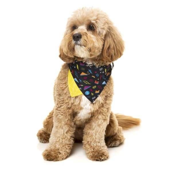 Fuzzyard [15% OFF] Fuzzyard Bel Air Pet Bandana (2 Sizes) Dog Accessories