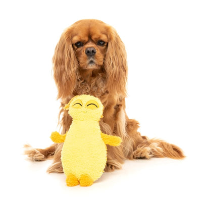Fuzzyard [15% OFF] Fuzzyard Belly The Bed Bug Yellow Plush Dog Toy Dog Accessories
