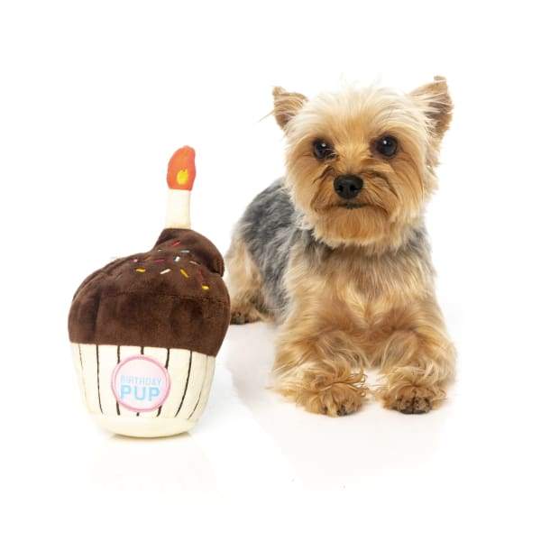 Fuzzyard [15% OFF] Fuzzyard Birthday Cupcake Plush Dog Toy Dog Accessories