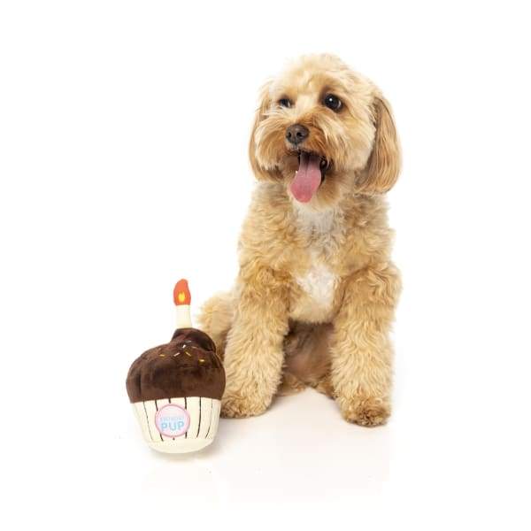 Fuzzyard [15% OFF] Fuzzyard Birthday Cupcake Plush Dog Toy Dog Accessories
