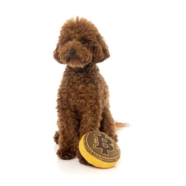 Fuzzyard [15% OFF] Fuzzyard Bite Coin Plush Dog Toy Dog Accessories