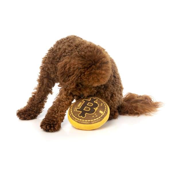 Fuzzyard [15% OFF] Fuzzyard Bite Coin Plush Dog Toy Dog Accessories