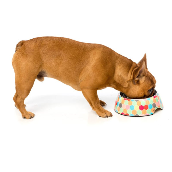 Fuzzyard [15% OFF] Fuzzyard Bowl The Hive Dog Easy Feeder Bowl (2 Sizes) Dog Accessories