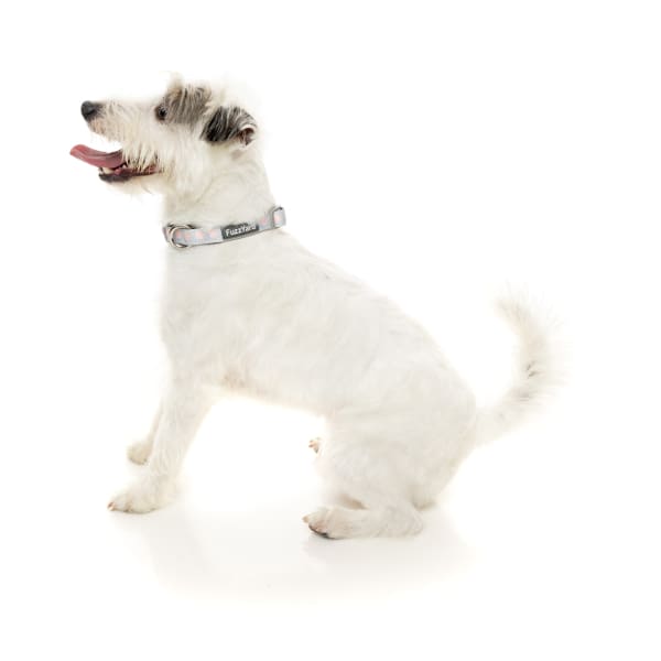 Fuzzyard [15% OFF] Fuzzyard Dippin’ Dog Collar (3 Sizes) General