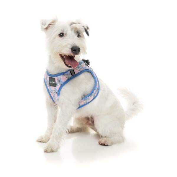 Fuzzyard [15% OFF] Fuzzyard Dippin’ Dog Step-in Harness (5 Sizes) General