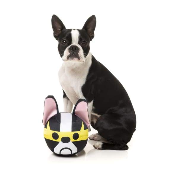 Fuzzyard [15% OFF] Fuzzyard Doggoforce Dash Dog Toy Dog Accessories