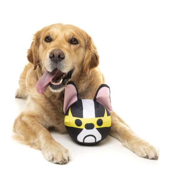 Fuzzyard [15% OFF] Fuzzyard Doggoforce Dash Dog Toy Dog Accessories