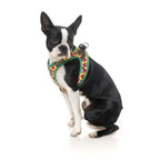Fuzzyard [15% OFF] Fuzzyard Doggoforce Dog Step-in Harness (5 Sizes) General