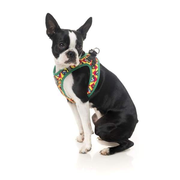 Fuzzyard [15% OFF] Fuzzyard Doggoforce Dog Step-in Harness (5 Sizes) General