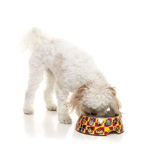Fuzzyard [15% OFF] Fuzzyard Doggoforce Easy Feeder Dog Bowl (3 Sizes) Dog Accessories