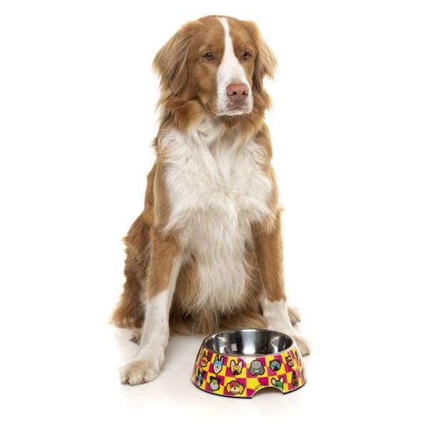 Fuzzyard [15% OFF] Fuzzyard Doggoforce Easy Feeder Dog Bowl (3 Sizes) Dog Accessories