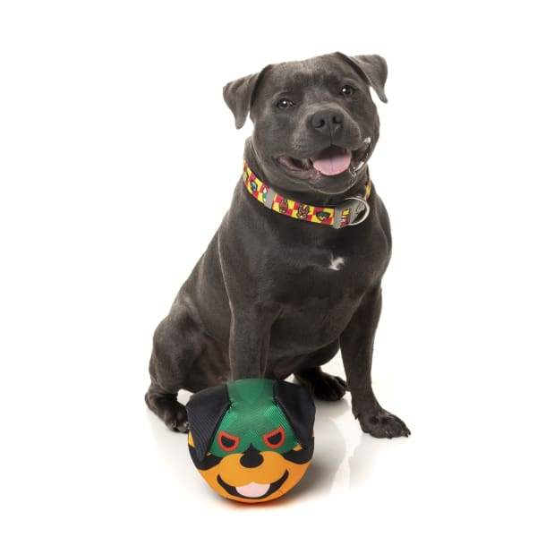 Fuzzyard [15% OFF] Fuzzyard Doggoforce Rumble Dog Toy Dog Accessories