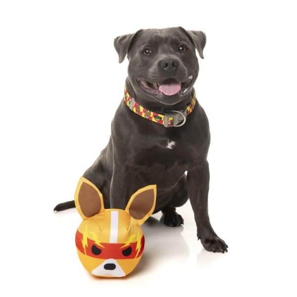 Fuzzyard [15% OFF] Fuzzyard Doggoforce Zap Dog Toy Dog Accessories