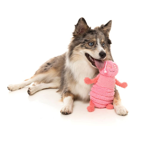 Fuzzyard [15% OFF] Fuzzyard Flutter The Bed Bug Pink Plush Dog Toy Dog Accessories