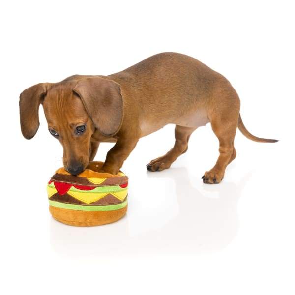 Fuzzyard [15% OFF] Fuzzyard Hamburger Plush Dog Toy Dog Accessories