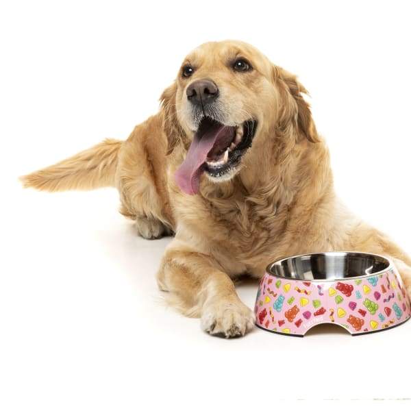 Fuzzyard [15% OFF] Fuzzyard Jelly Bears Easy Feeder Dog Bowl (3 Sizes) Dog Accessories