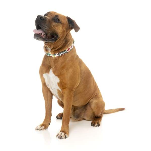 Fuzzyard [15% OFF] Fuzzyard Jenga Dog Collar (3 Sizes) General