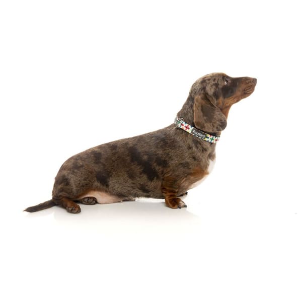 Fuzzyard [15% OFF] Fuzzyard Jenga Dog Collar (3 Sizes) General