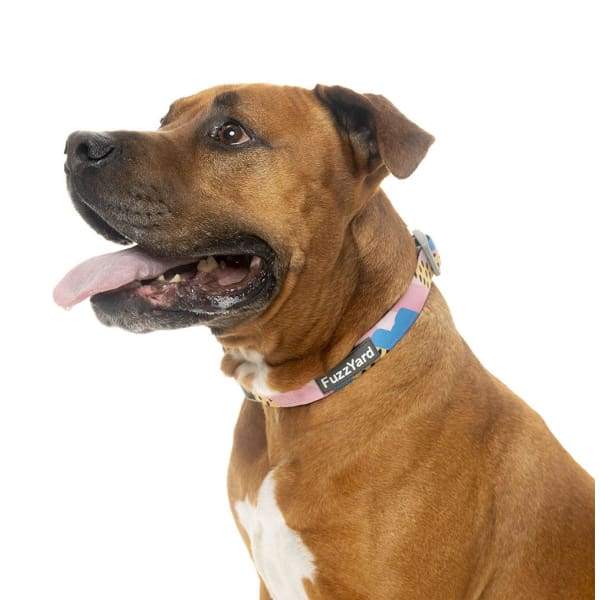 Fuzzyard [15% OFF] Fuzzyard Jiggy Dog Collar (3 Sizes) General