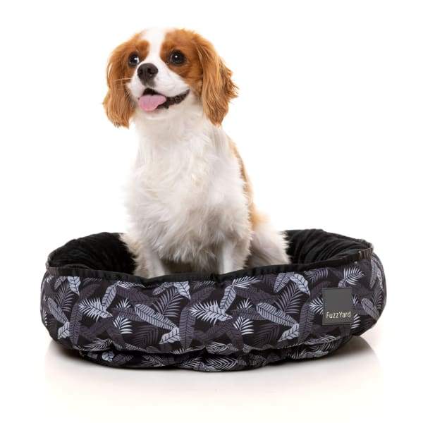 Fuzzyard [15% OFF + FREE TOYS & SURPRISE BOX] Fuzzyard Kapalua Reversible Dog Bed Dog Accessories