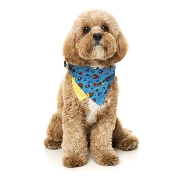 Fuzzyard [15% OFF] Fuzzyard Kings of Gold School Pet Bandana (2 Sizes) Dog Accessories
