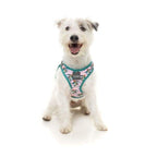 Fuzzyard [15% OFF] Fuzzyard LL Cool Jaw Dog Step-in Harness (5 Sizes) General