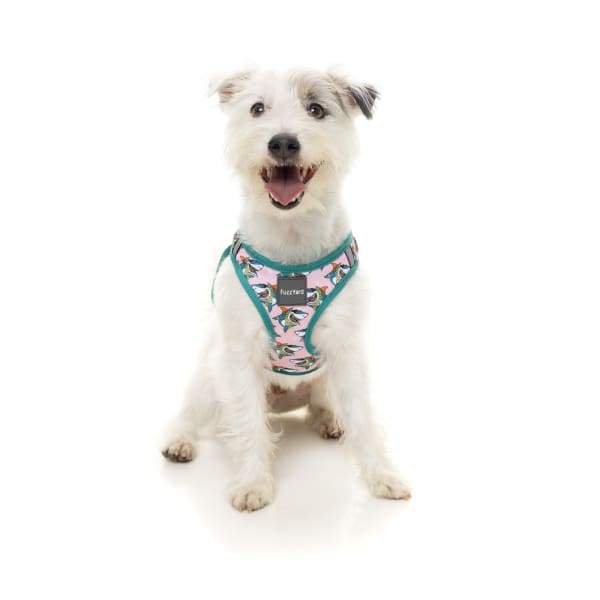 Fuzzyard [15% OFF] Fuzzyard LL Cool Jaw Dog Step-in Harness (5 Sizes) General