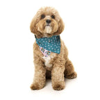 Fuzzyard [15% OFF] Fuzzyard LL Cool Jaw Pet Bandana (2 Sizes) Dog Accessories