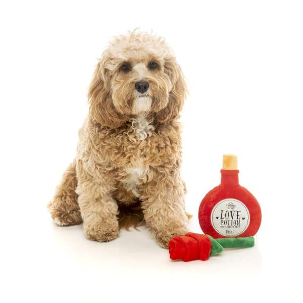 Fuzzyard [15% OFF] Fuzzyard Love Potion / Rose Plush Dog Toy (2pcs) Dog Accessories