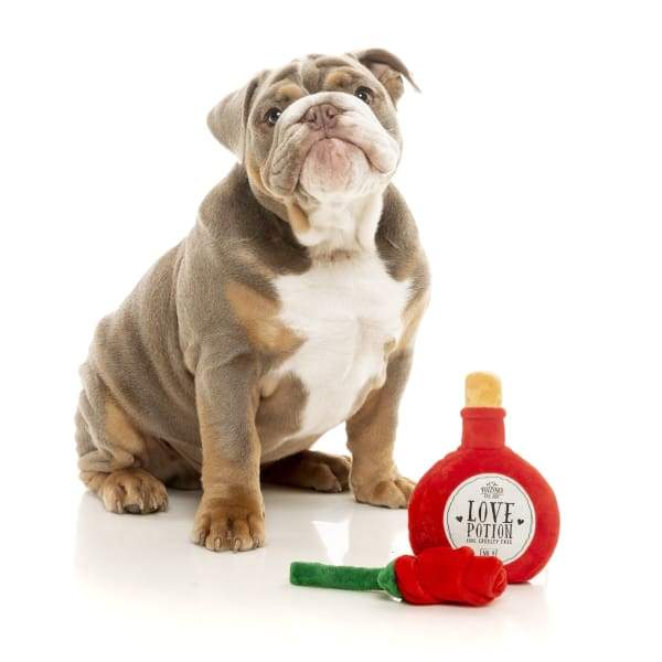 Fuzzyard [15% OFF] Fuzzyard Love Potion / Rose Plush Dog Toy (2pcs) Dog Accessories