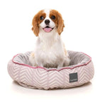 Fuzzyard [15% OFF + FREE TOYS & SURPRISE BOX] Fuzzyard Maricopa Reversible Dog Bed Dog Accessories