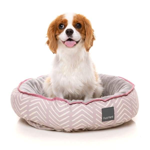 Fuzzyard [15% OFF + FREE TOYS & SURPRISE BOX] Fuzzyard Maricopa Reversible Dog Bed Dog Accessories