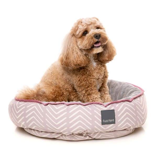Fuzzyard [15% OFF + FREE TOYS & SURPRISE BOX] Fuzzyard Maricopa Reversible Dog Bed Dog Accessories