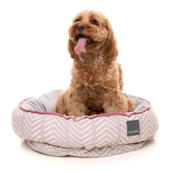 Fuzzyard [15% OFF + FREE TOYS & SURPRISE BOX] Fuzzyard Maricopa Reversible Dog Bed Dog Accessories