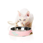 Fuzzyard [15% OFF] Fuzzyard Melamine Featherstorm Cat Bowl Cat Accessories