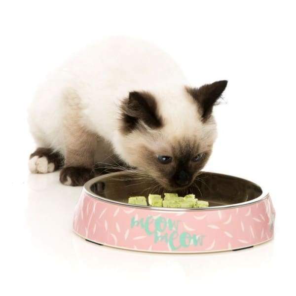 Fuzzyard [15% OFF] Fuzzyard Melamine Featherstorm Cat Bowl Cat Accessories