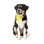 Fuzzyard [15% OFF] Fuzzyard Monkey Mania Pet Bandana (2 Sizes) Dog Accessories