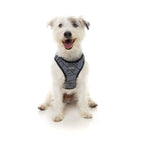 Fuzzyard [15% OFF] Fuzzyard Northcote Dog Step-in Harness (5 Sizes) General
