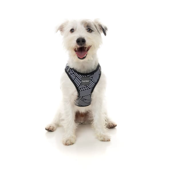 Fuzzyard [15% OFF] Fuzzyard Northcote Dog Step-in Harness (5 Sizes) General