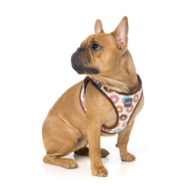 Fuzzyard [15% OFF] Fuzzyard Go Nuts Dog Step-in Harness (5 Sizes) General