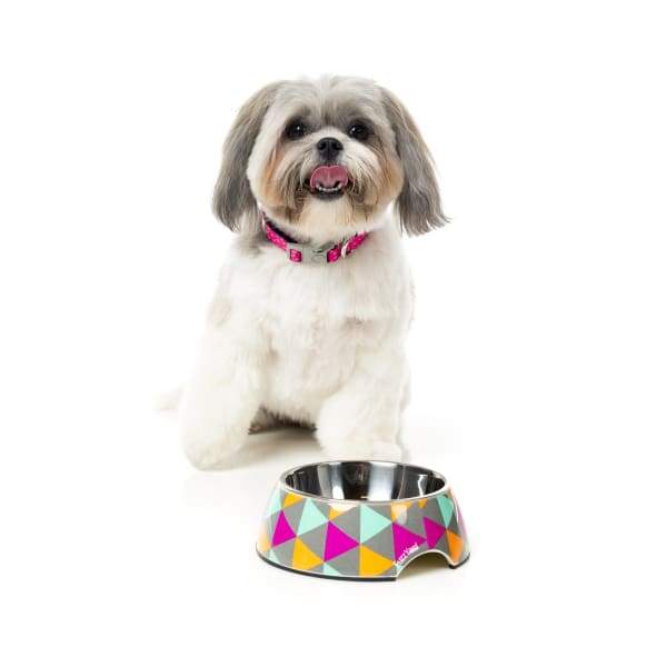 Fuzzyard [15% OFF] Fuzzyard Pop Easy Feeder Dog Bowl (3 Sizes) Dog Accessories