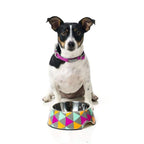 Fuzzyard [15% OFF] Fuzzyard Pop Easy Feeder Dog Bowl (3 Sizes) Dog Accessories